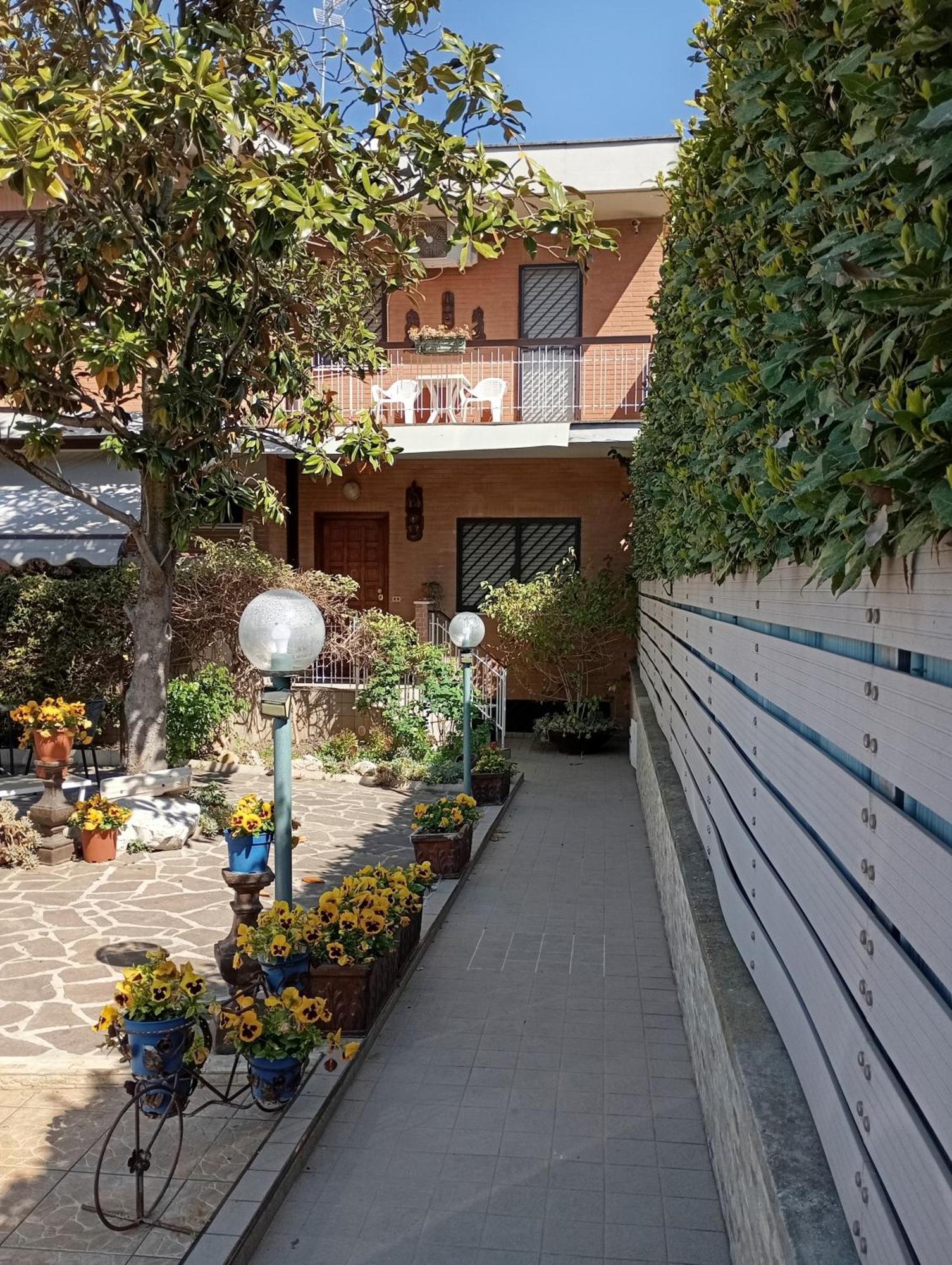 Verdoni Di Gabriela Rom